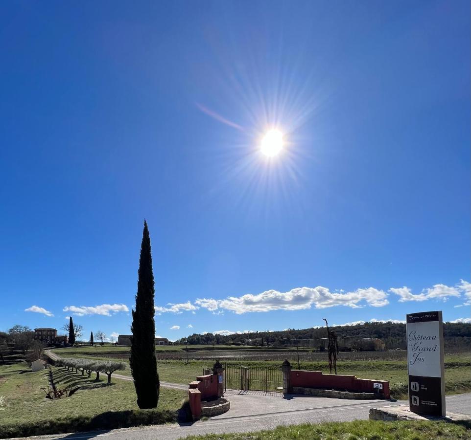 Chateau Du Grand Jas Entrecasteaux ภายนอก รูปภาพ