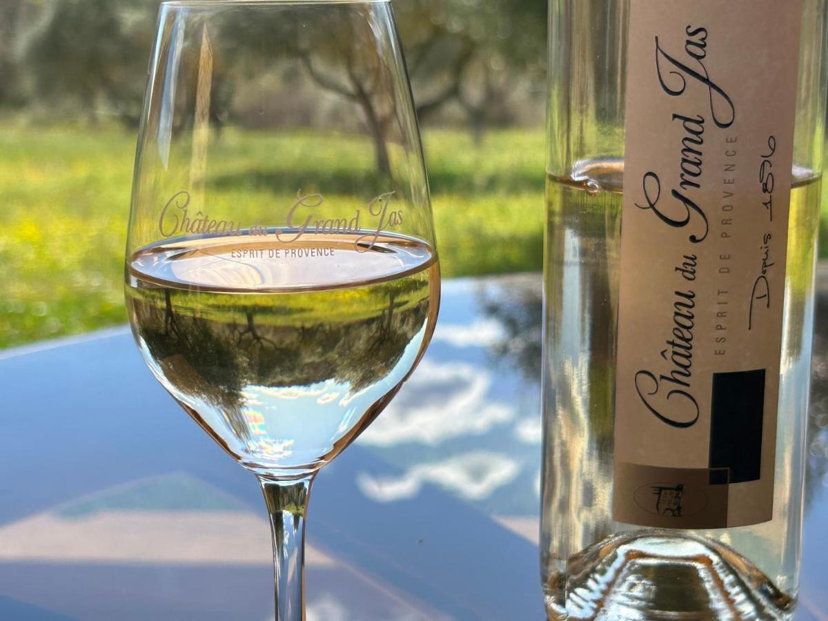 Chateau Du Grand Jas Entrecasteaux ภายนอก รูปภาพ