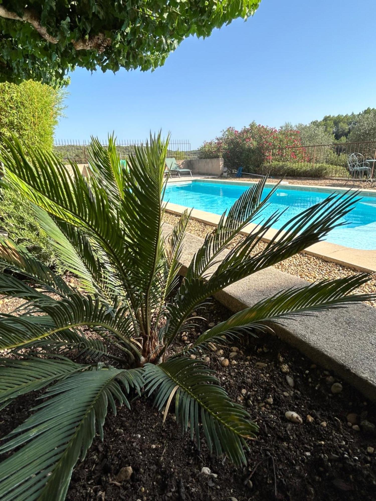 Chateau Du Grand Jas Entrecasteaux ภายนอก รูปภาพ